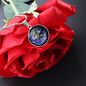 Earth Circle Necklase