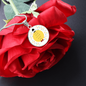 Circle Customized Luxary Necklase