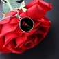 Red Roes Lovers Circle Luxury Necklace