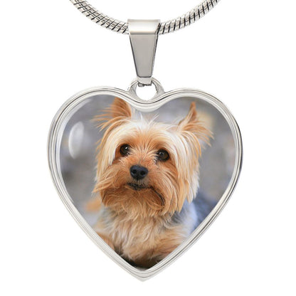 Customized Heart Necklase For Loving Puppy.