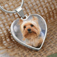 Customized Heart Necklase For Loving Puppy.