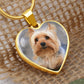 Customized Heart Necklase For Loving Puppy.