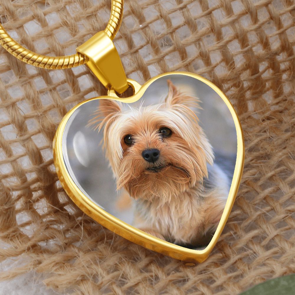 Customized Heart Necklase For Loving Puppy.