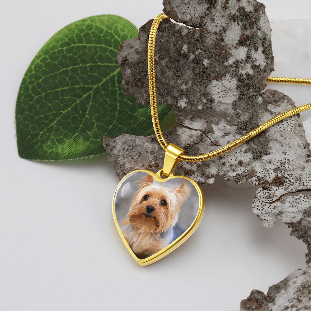 Customized Heart Necklase For Loving Puppy.